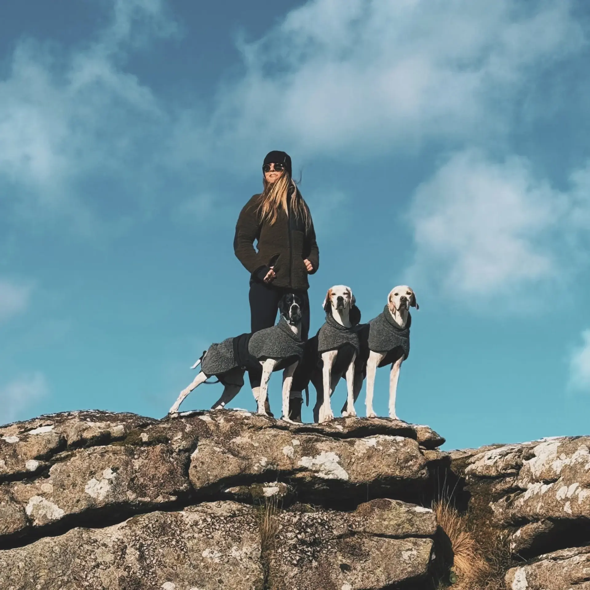 Hundlands